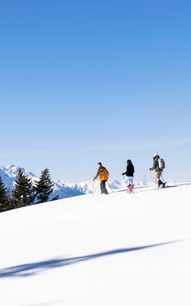 Tre escursionisti con le racchette da neve | © IDM Südtirol-Alto Adige/Alex Filz