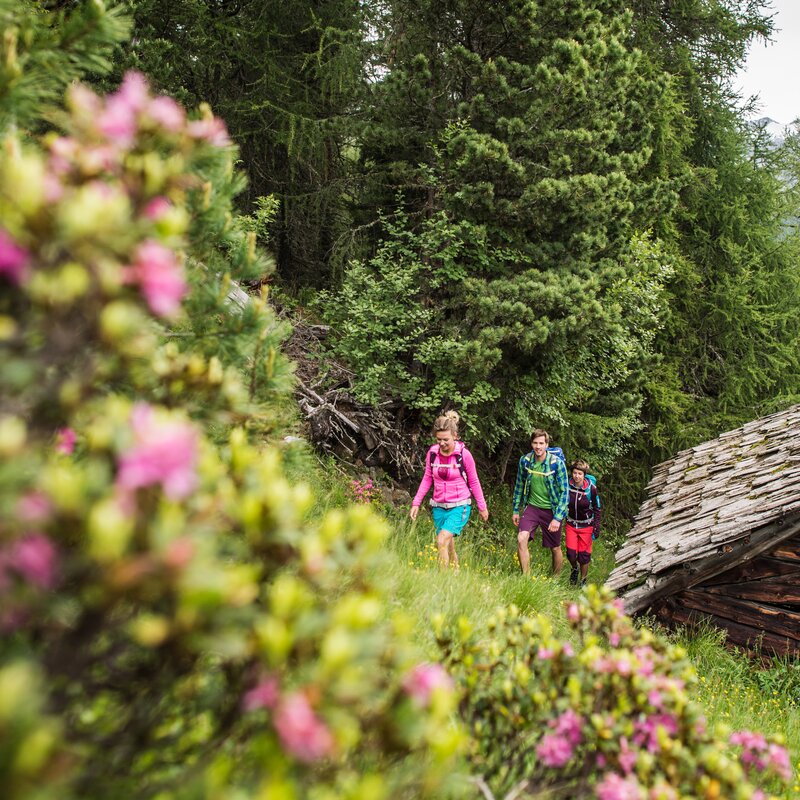 Escursione in montagna | © Wisthaler Harald