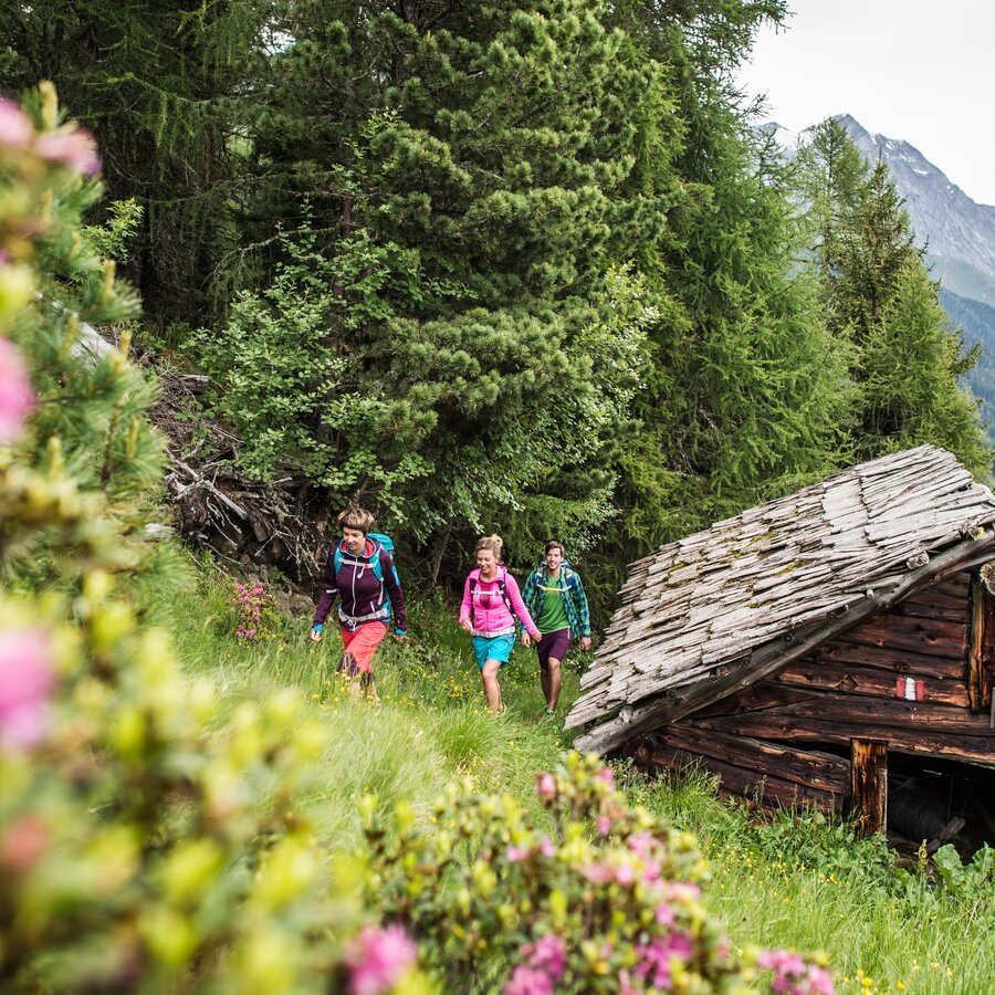 Escursione in montagna | © Wisthaler Harald