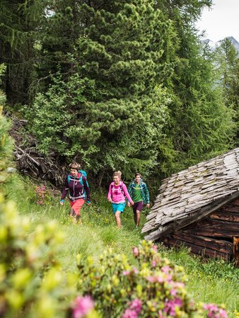 Escursione in montagna | © Wisthaler Harald