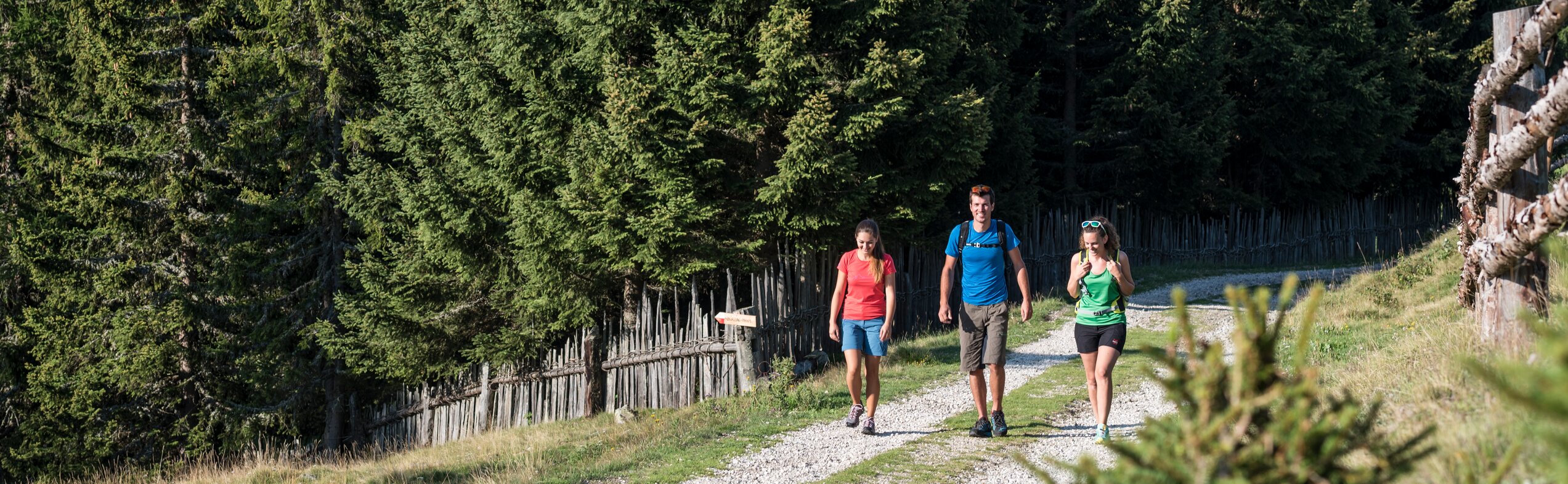 Wanderung | © Hannes Niederkofler