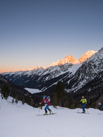 Ski touring in winter landscape | © Wisthaler Harald