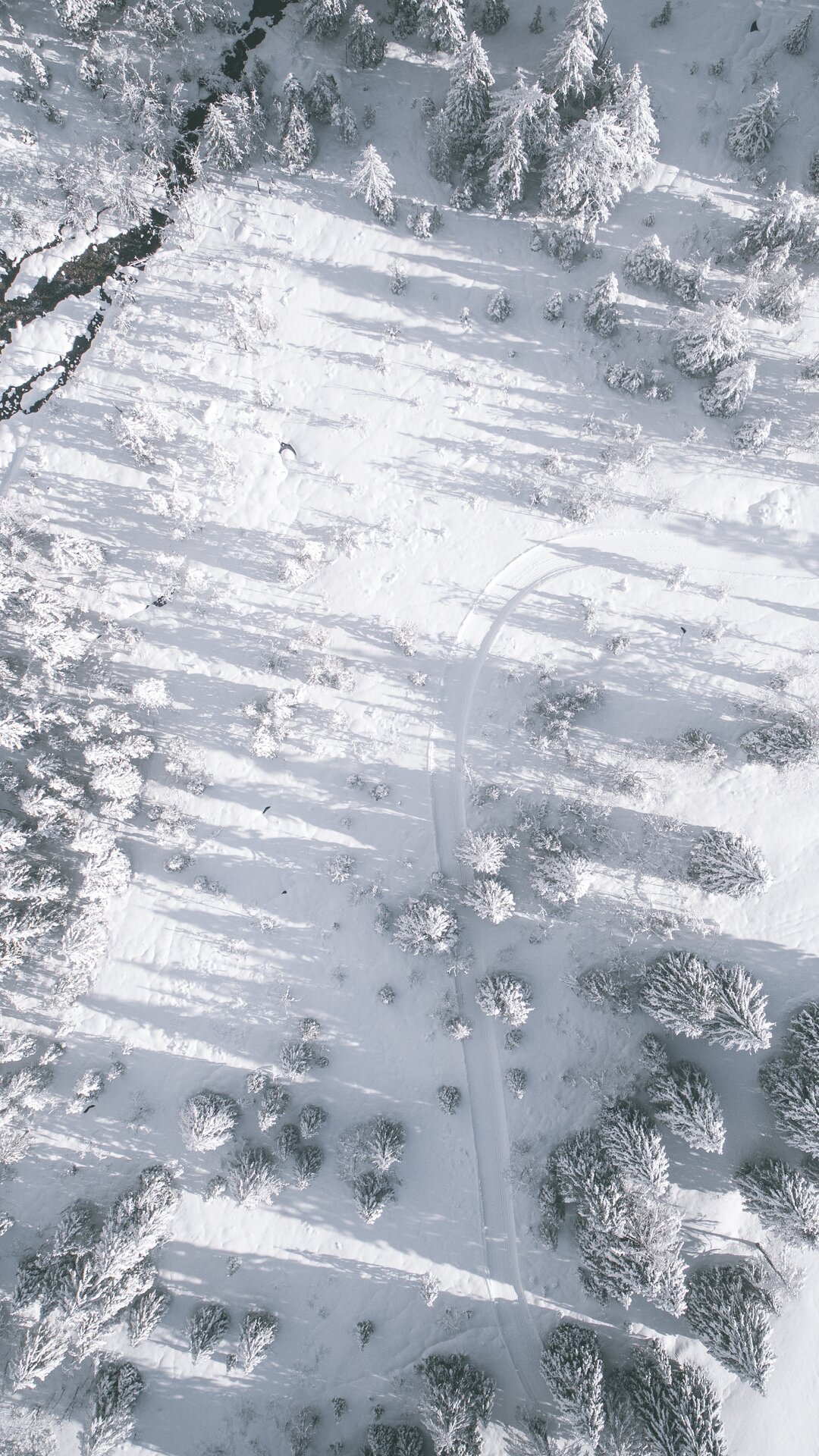 Paesaggio, neve, bosco, vista dall'alto | © Kottersteger Manuel