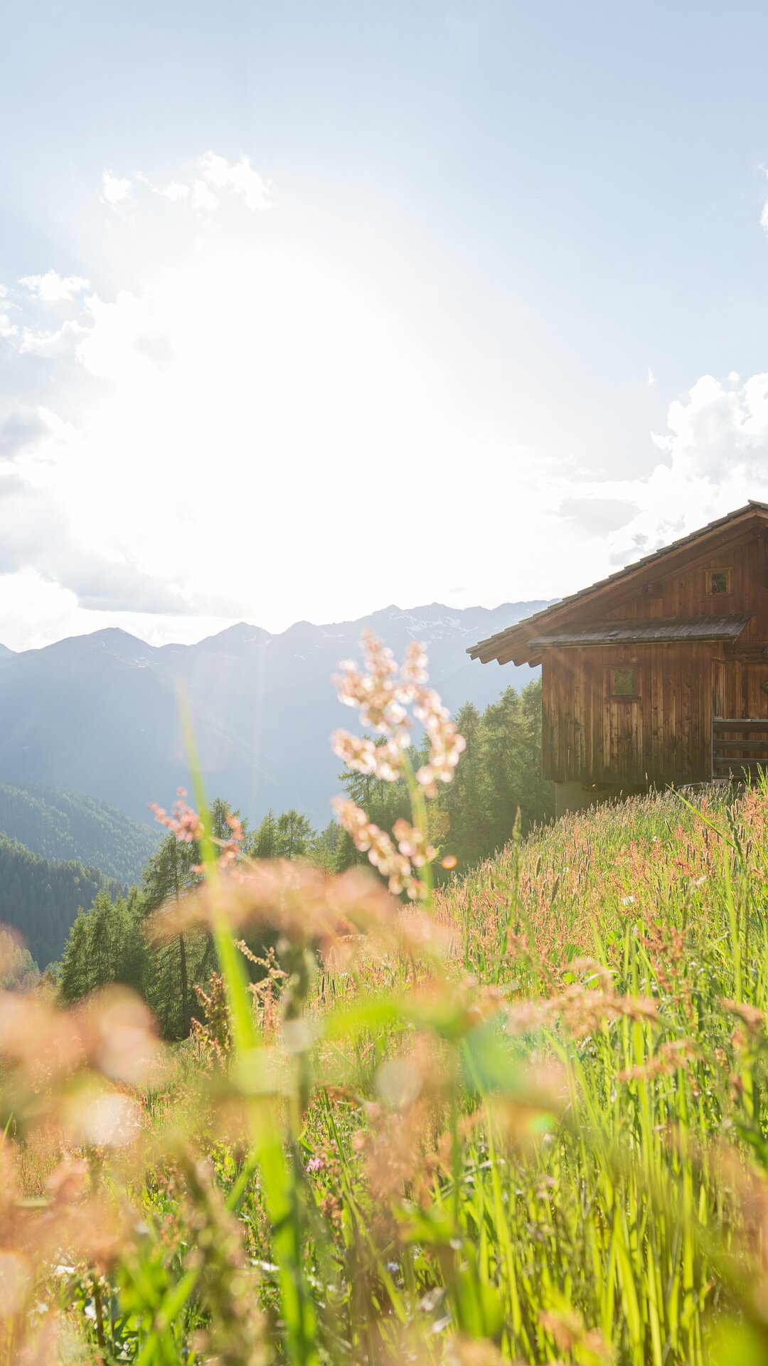 Wooden hay barn in the middle of a meadow summer | © TV Gsierer Tal_Kamilla Photography