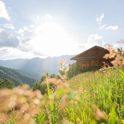 Wooden hay barn in the middle of a meadow summer | © TV Gsierer Tal_Kamilla Photography