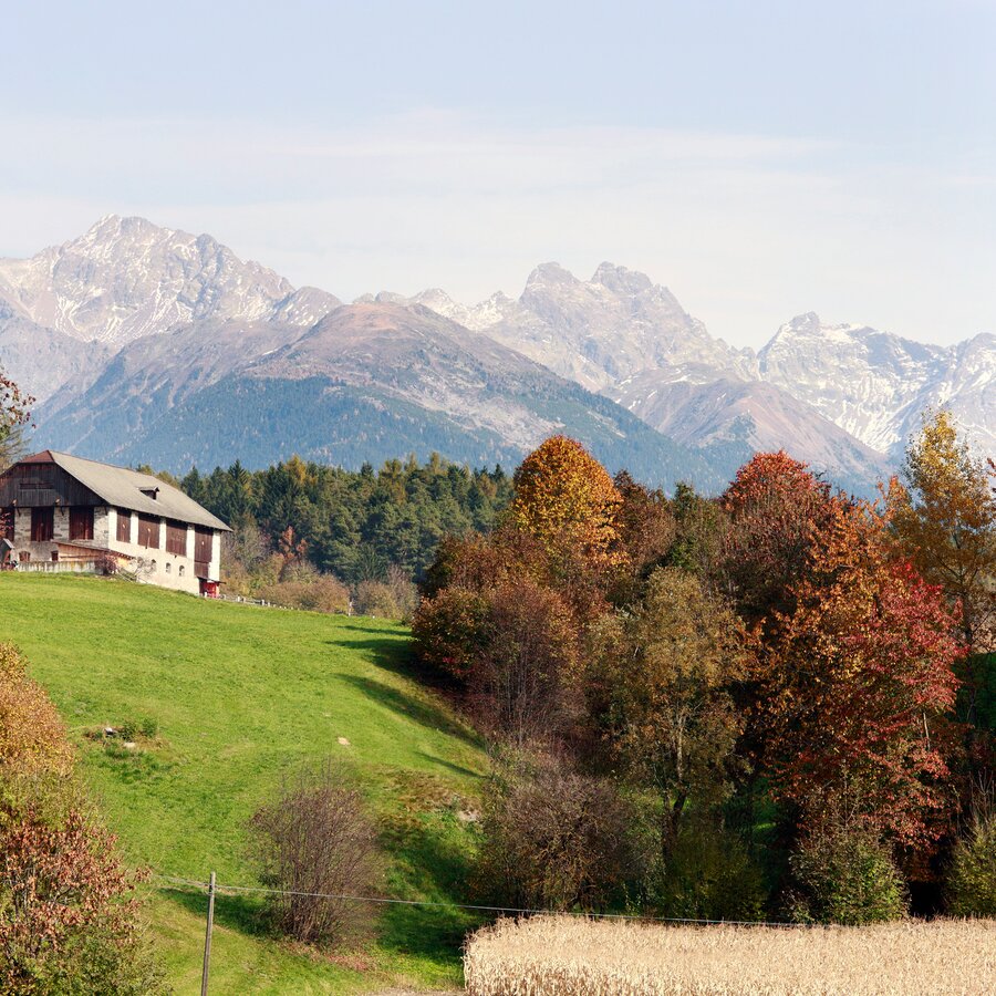 Piccola fattoria in mezzo ai boschi, sfondo di montagna | © TV Kiens_ Georg Tappeiner
