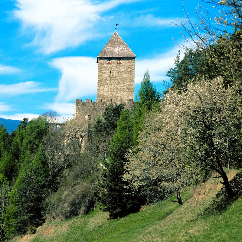 Il castello di Schöneck sotto un cielo blu | © Georg Tappeiner