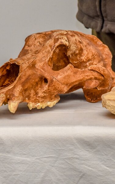 Eine Ausstellung im Naturparkhaus St. Vigil. | © Naturparkhaus St. Vigil