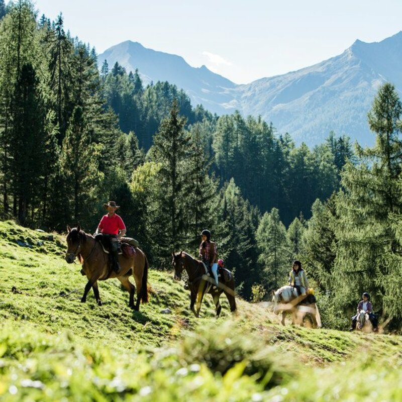 Eine Gruppe macht einen Ausflug mit den Pferden. | © IDM Südtirol