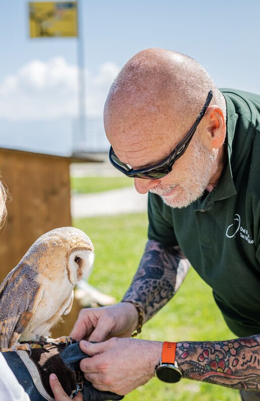 Die Eule bei der Birds of Prey Show bei der Mittelstation Olang 1+2. | © Harald Wisthaler