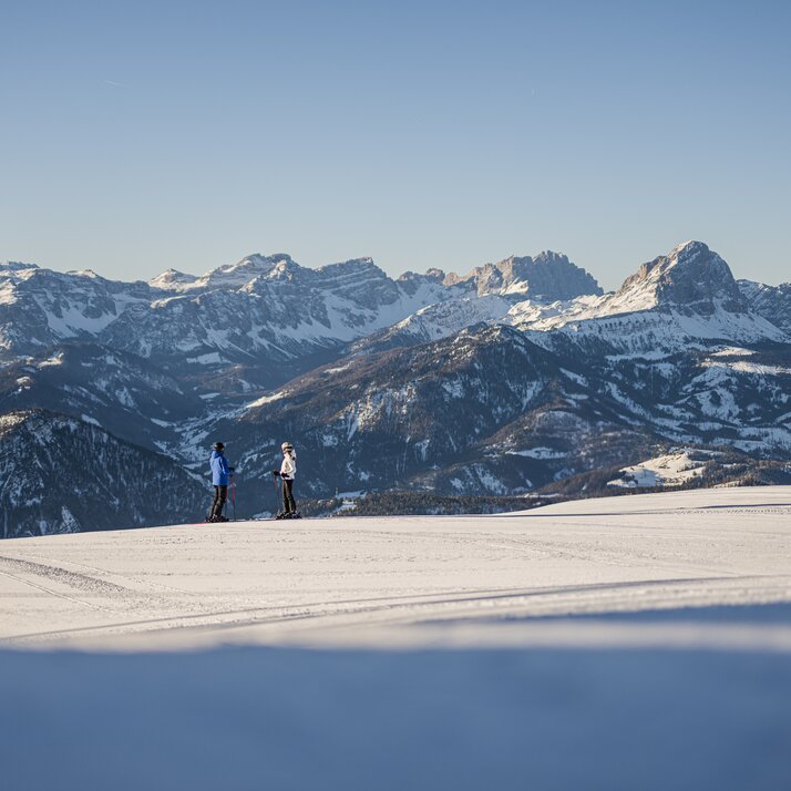 Zwei Skifahrer blicken auf verschneite Berglandschaft. | © Harald Wisthaler